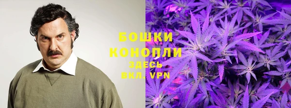 Альфа ПВП Бородино