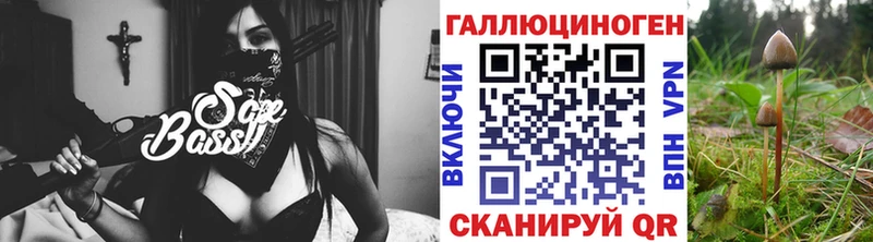 гидра как войти Короча Псилоцибиновые грибы мухоморы